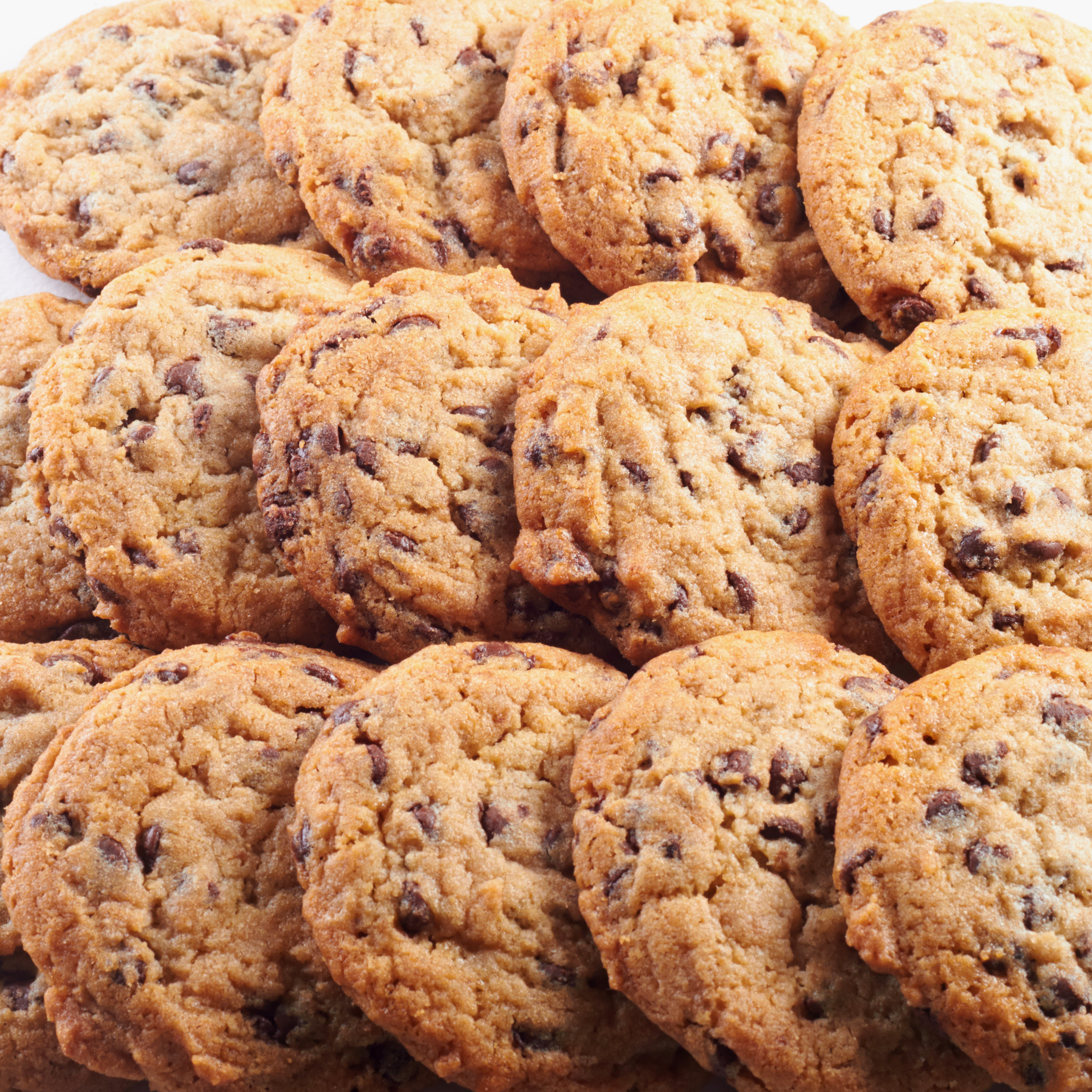 1 lb Fresh Baked Chocolate Chip Cookies